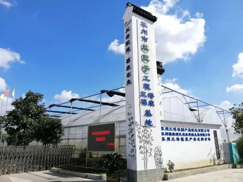 紓難解困，精準(zhǔn)服務(wù) 賦能農(nóng)副產(chǎn)品企業(yè)高質(zhì)量發(fā)展