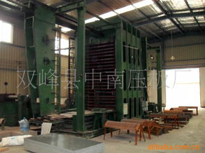 雙峰縣中南壓板廠二手塑料機械產品清單——鞋帽專用設備