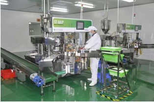 愛護(hù)工廠參觀之旅 以匠心與品質(zhì)，鑄就皮革制品的卓越承諾